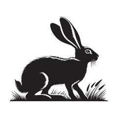 Jack rabbit Silhouette - Minimalist Jack rabbit Design - Jack rabbit vector - Illustration of Jack Rabbit.