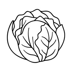 cabbage icon, cabbage line art - simple line art of cabbage, perfect for cabbage logos and icons