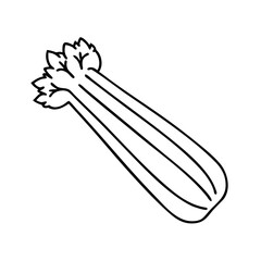 celery stalk icon, celery stalk line art - simple line art of celery stalk, perfect for celery stalk logos and icons