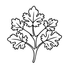 cilantro icon, cilantro line art - simple line art of cilantro, perfect for cilantro logos and icons