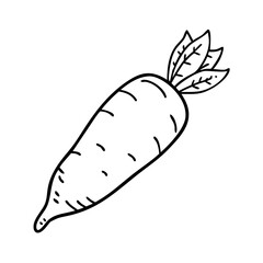daikon radish icon, daikon radish line art - simple line art of daikon radish, perfect for daikon radish logos and icons