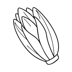 endive icon, endive line art - simple line art of endive, perfect for endive logos and icons