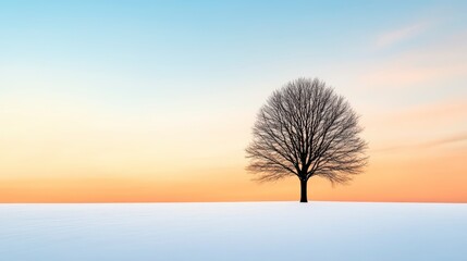 Serene Snowy Field at Dusk Featuring a Single Tree Silhouette Against a Colorful Winter Sky