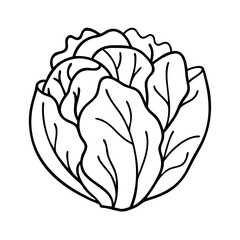 iceberg lettuce icon, iceberg lettuce line art - simple line art of iceberg lettuce, perfect for iceberg lettuce logos and icons