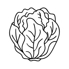 iceberg lettuce icon, iceberg lettuce line art - simple line art of iceberg lettuce, perfect for iceberg lettuce logos and icons