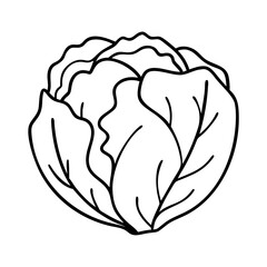 iceberg lettuce icon, iceberg lettuce line art - simple line art of iceberg lettuce, perfect for iceberg lettuce logos and icons