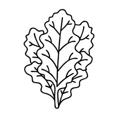 kale icon, kale line art - simple line art of kale, perfect for kale logos and icons