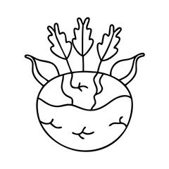 Obraz premium kohlrabi icon, kohlrabi line art - simple line art of kohlrabi, perfect for kohlrabi logos and icons
