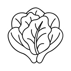 lettuce head icon, lettuce head line art - simple line art of lettuce head, perfect for lettuce head logos and icons