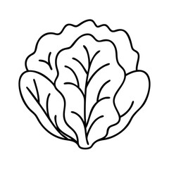 lettuce head icon, lettuce head line art - simple line art of lettuce head, perfect for lettuce head logos and icons