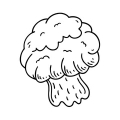 lion s mane mushroom icon, lion s mane mushroom line art - simple line art of lion s mane mushroom, perfect for lion s mane mushroom logos and icons