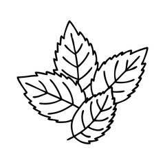 mint leaves icon, mint leaves line art - simple line art of mint leaves, perfect for mint leaves logos and icons