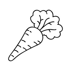 parsnip icon, parsnip line art - simple line art of parsnip, perfect for parsnip logos and icons