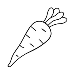 parsnip icon, parsnip line art - simple line art of parsnip, perfect for parsnip logos and icons