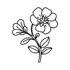 purslane icon, purslane line art - simple line art of purslane, perfect for purslane logos and icons
