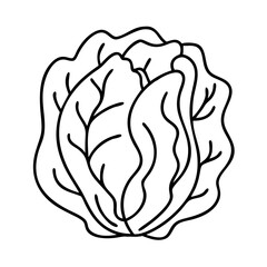 radicchio icon, radicchio line art - simple line art of radicchio, perfect for radicchio logos and icons