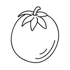 roma tomato icon, roma tomato line art - simple line art of roma tomato, perfect for roma tomato logos and icons