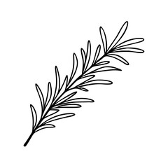 rosemary sprig icon, rosemary sprig line art - simple line art of rosemary sprig, perfect for rosemary sprig logos and icons