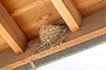 軒下に作られたツバメの巣の写真