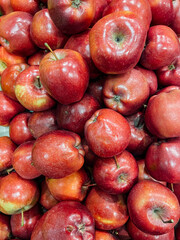 lots of ripe fruits, apples for cooking as background