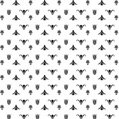 Ornate Floral Pattern - Black and White Art Nouveau Design