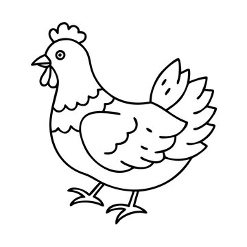 recommend clip art: chicken hen icon, chicken hen line art - simple line art of chicken hen, perfect for chicken hen logos and icons