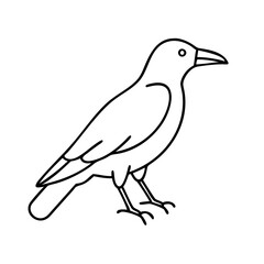 crow icon, crow line art - simple line art of crow, perfect for crow logos and icons