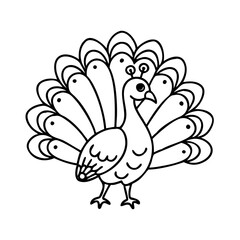 peacock icon, peacock line art - simple line art of peacock, perfect for peacock logos and icons