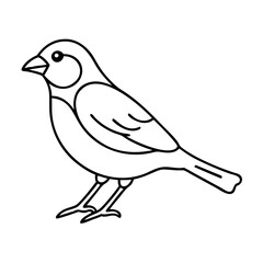 sparrow icon, sparrow line art - simple line art of sparrow, perfect for sparrow logos and icons
