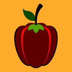 vector illustration of an apple
