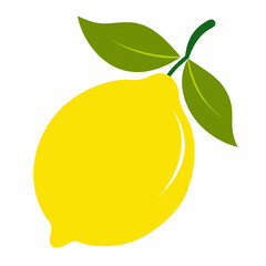 lemon vector illustration
