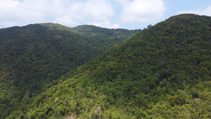 Beautiful aerial views of the mountains filled with trees and plants and there are paths to walk and separate the plants so they don't spread in the event of a fire