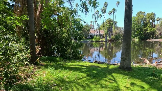 footage of a lagoon in a gorgeous spring landscape at the Los Angeles County Arboretum and Botanic Garden in Arcadia California USA