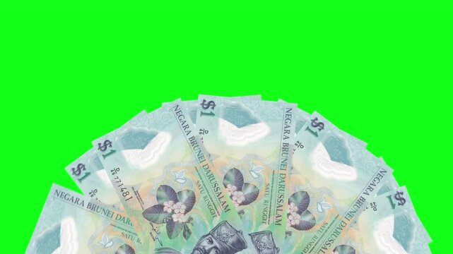 Brunei Dollar- High-Quality Animation of Brunei&rsquo;s Currency
