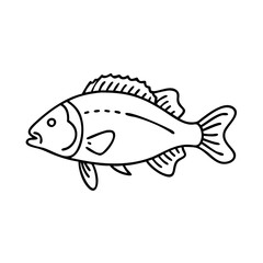 nile perch icon, nile perch line art - simple line art of nile perch, perfect for nile perch logos and icons