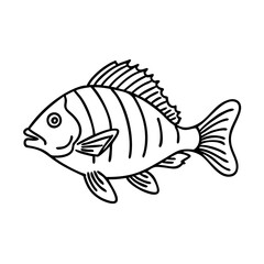 sheepshead icon, sheepshead line art - simple line art of sheepshead, perfect for sheepshead logos and icons