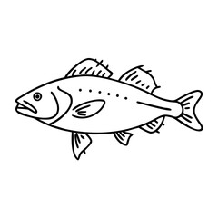 walleye icon, walleye line art - simple line art of walleye, perfect for walleye logos and icons