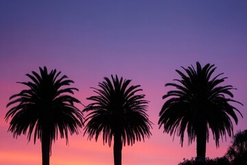 Obraz premium Three Palm Trees Silhouette Against Vibrant Purple and Pink Sunset Sky