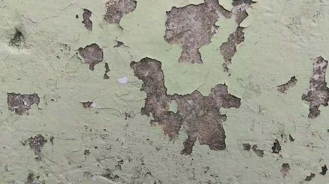 wall paint that is peeling because the wall is damp