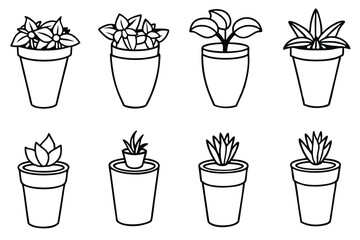 Planter-s Punch Line Art Detailed Sketch for Print Project  