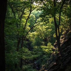 Fototapeta premium Green leaves in soft focus natural plant background