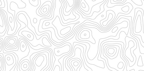 Topographic map lines contour background. Wavy seamless lines on white background. Geographic map grid. landscape pattern.