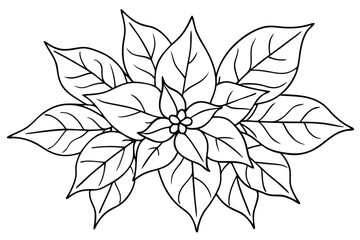 Poinsettia Leaf Line Art Design for Holiday Floral Illustration  