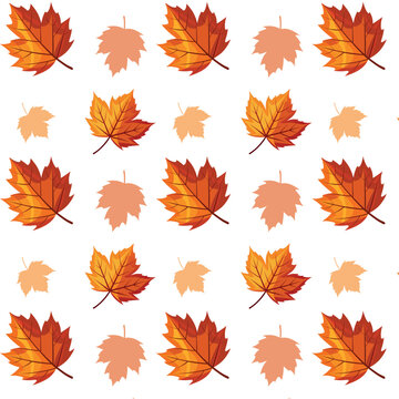 Vector seamless autumn pattern with maple, golden leaves, autumn theme