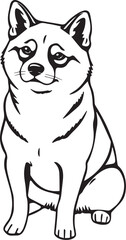 Shiba Inu dog. Hand drawn vector illustration	
