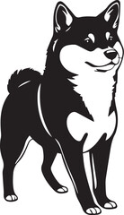Shiba Inu dog. Hand drawn vector illustration	