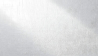 Abstract Gray And White Texture Background