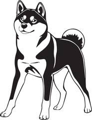 Shiba Inu dog. Hand drawn vector illustration	