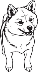 Shiba Inu dog. Hand drawn vector illustration	