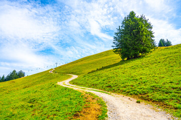 A peaceful alpine road curves gently through vibrant green hills under a brilliant blue sky. The landscape is dotted with tall trees and distant ski lifts, creating a picturesque outdoor scene.